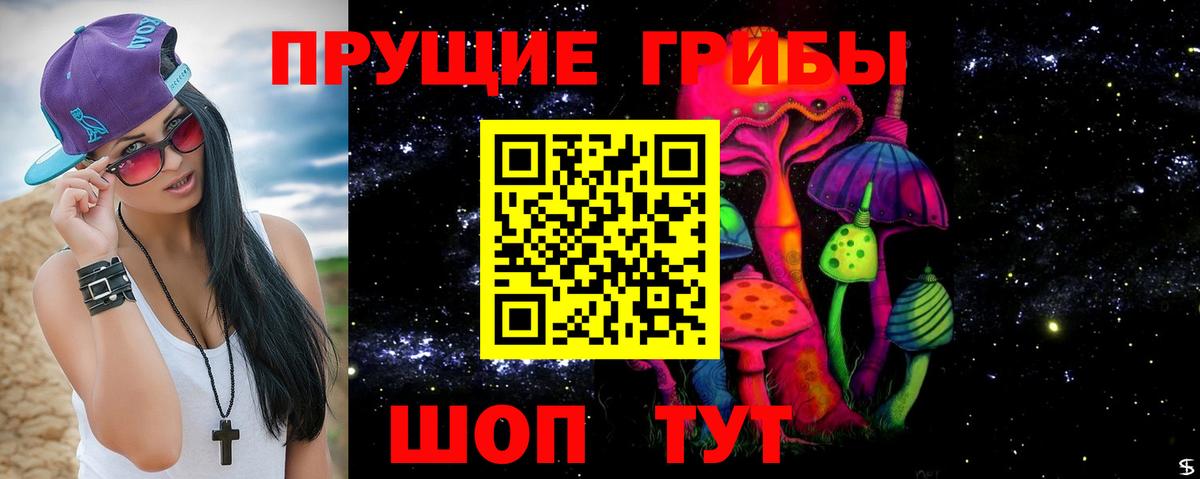 сколько стоит  Вход с VPN  Урай  Псилоцибиновые грибы GOLDEN TEACHER 