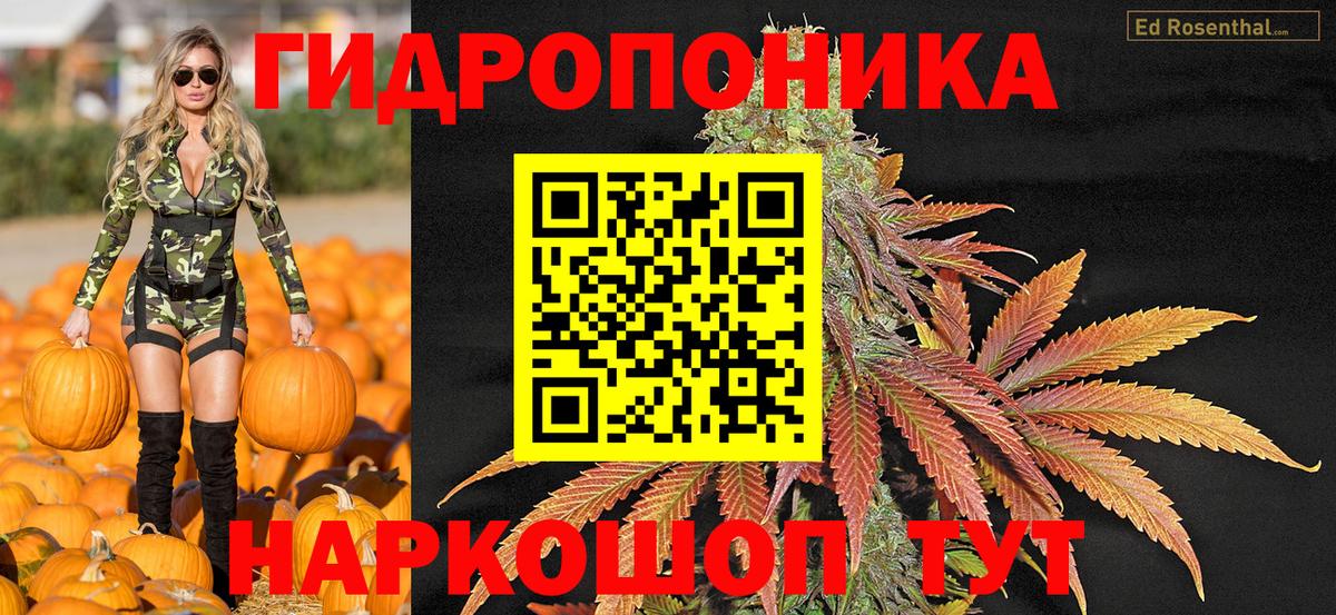 Урай  Бошки марихуана Amnesia  Марихуана AK-47  Бошки Шишки OG Kush  Шишки марихуана тримм  Вход с VPN 
